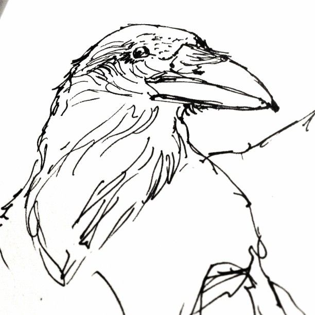 612x612 Quick Study Morning