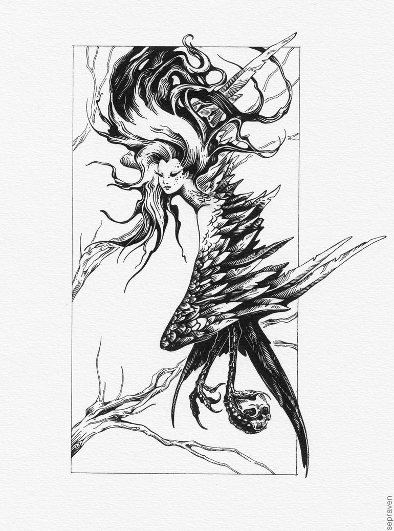 770x1037 Sirin By Sepraven