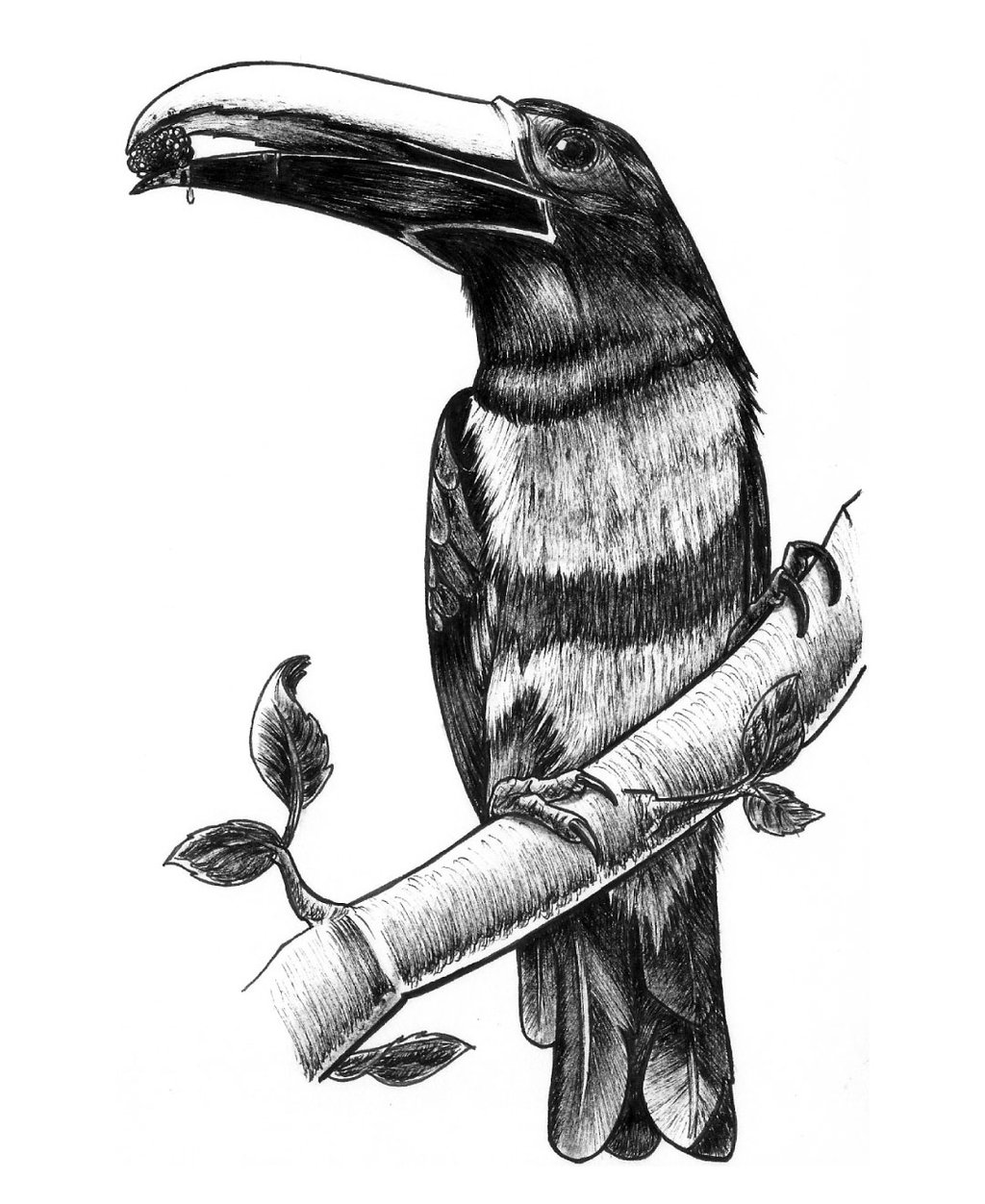 1024x1252 Betosui (Betsymar Sandoval)