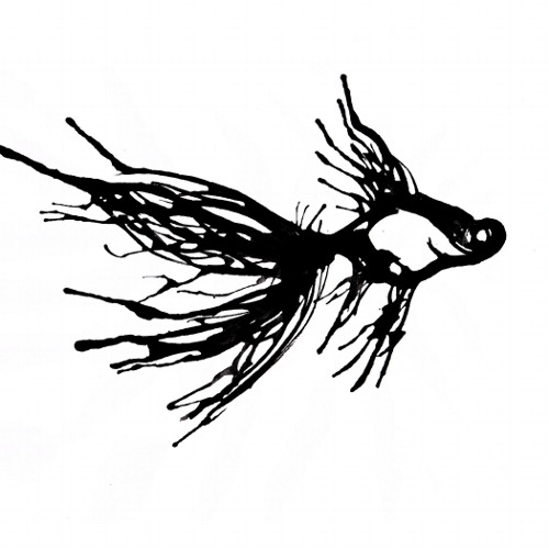 500x500 Ink Goldfish By Sobi777nightmare