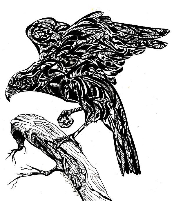 600x690 72 Best Ravens Images On Crows Ravens, Raven And Ravens