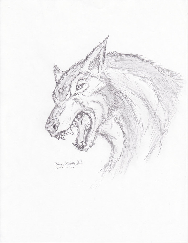 786x1017 Lycan Quick Sketch By Steel Raven