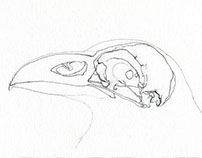 202x158 Myriam Fries On Behance