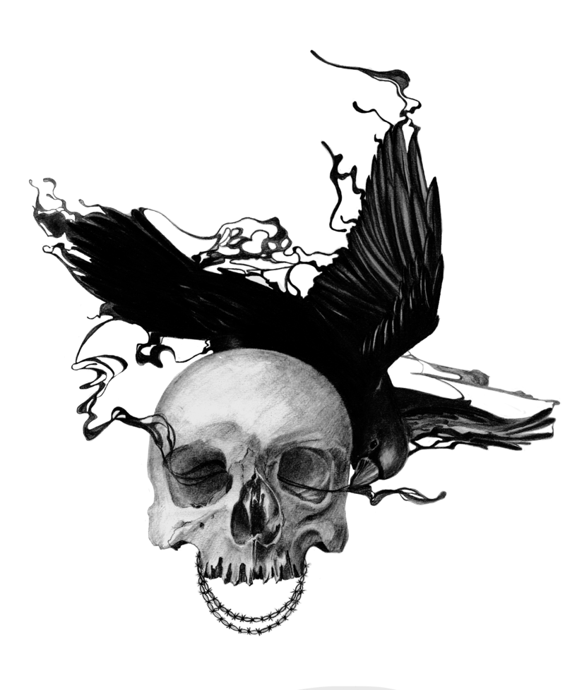 817x978 Raven And Skull By Pyromaniacfeline17