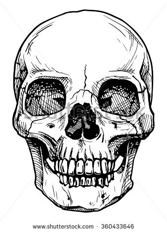 338x470 Skull Art Free Clip Arts Sanyangfrp