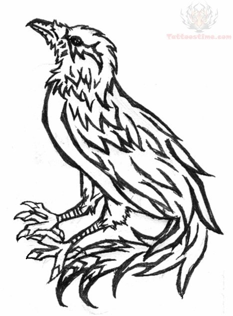 467x634 Drawing Raven Tattoo Design