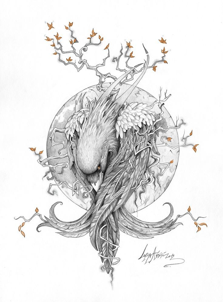 735x994 Image Result For Celtic Raven Tattoos Tattoo