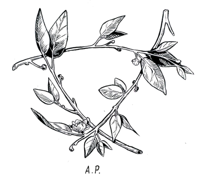 400x356 Ley Line Concept We Break Along The Fault Lines Of Our Own
