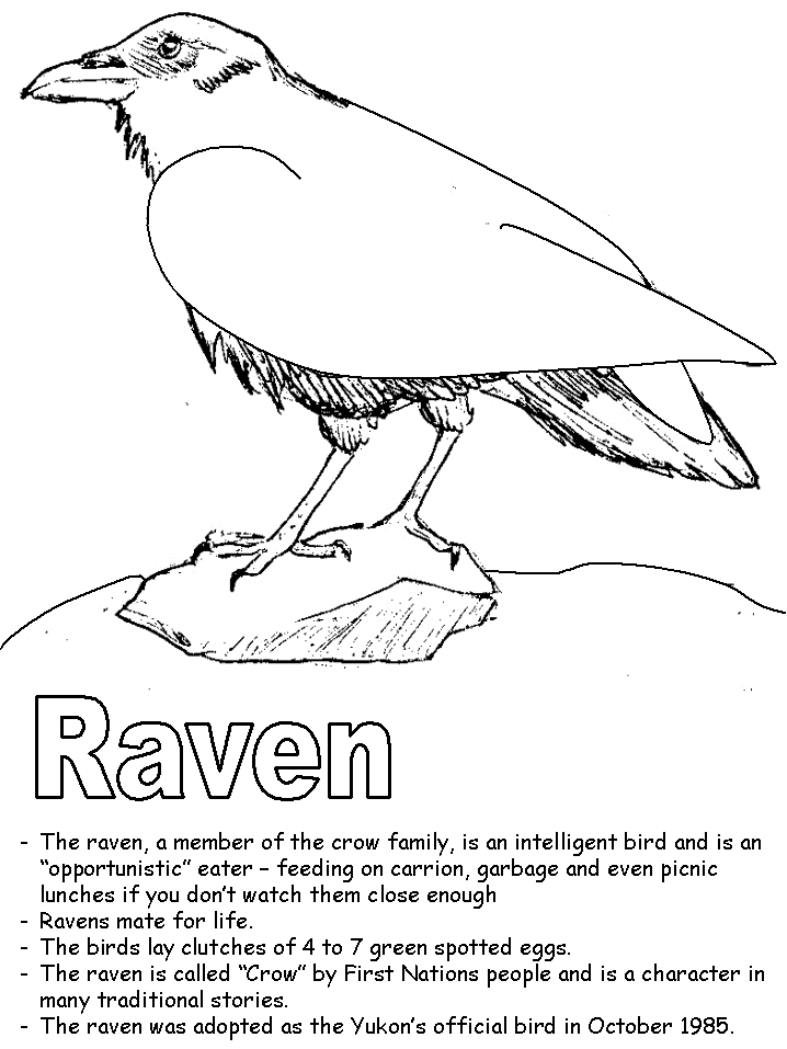 718x957 Ravens Coloring Pages Free Coloring Page For Kids