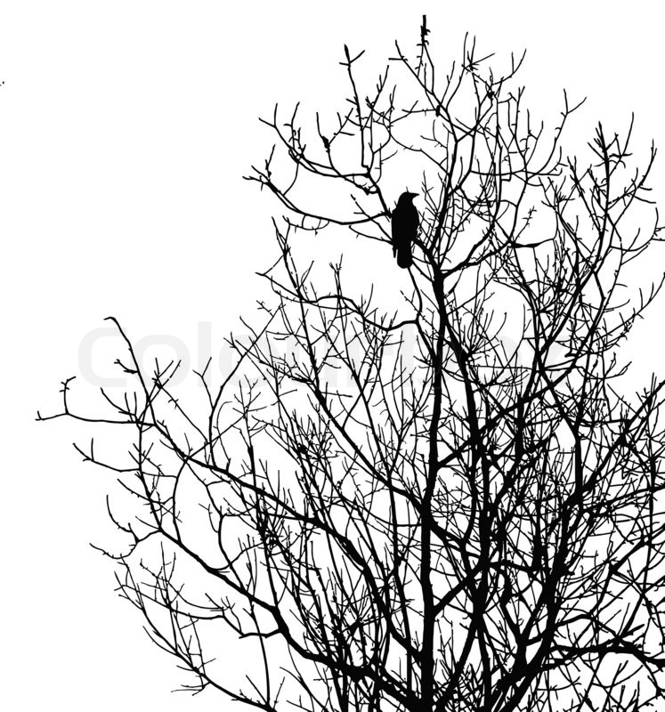 747x800 Silhouette Ravens On Tree Isolated On White Background Stock