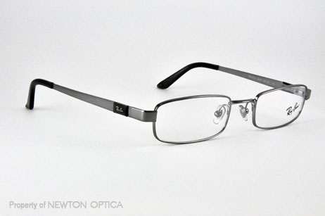 462x307 Newton Optica