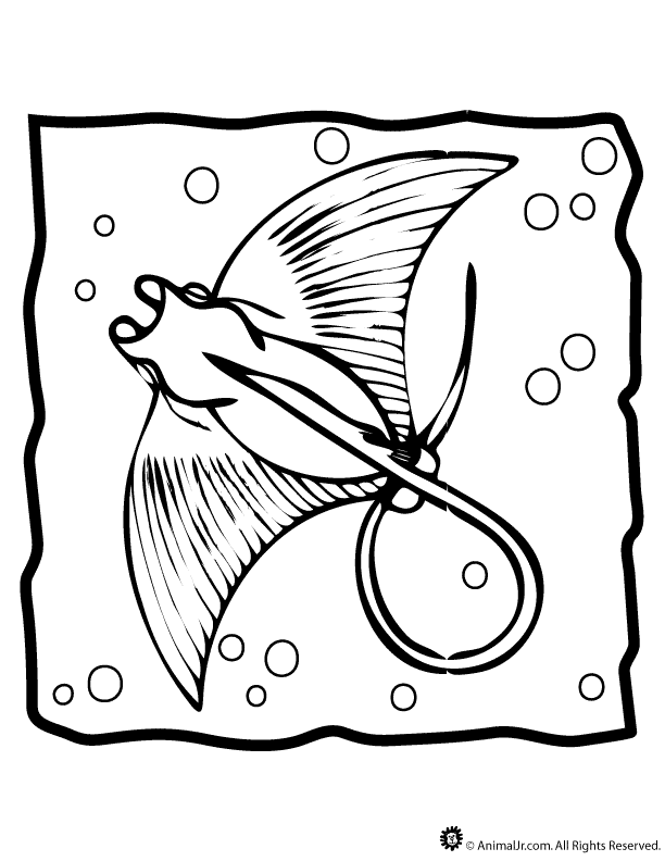 612x792 Manta Ray Coloring Page