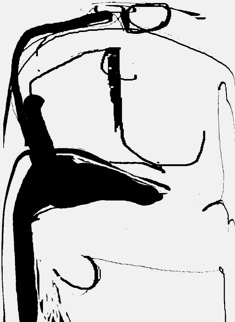 788x1076 Ray Fields Artist