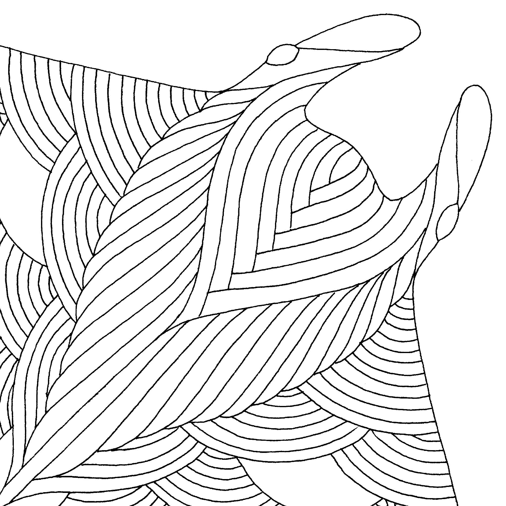 2048x2048 Manta Ray Millie Marotta