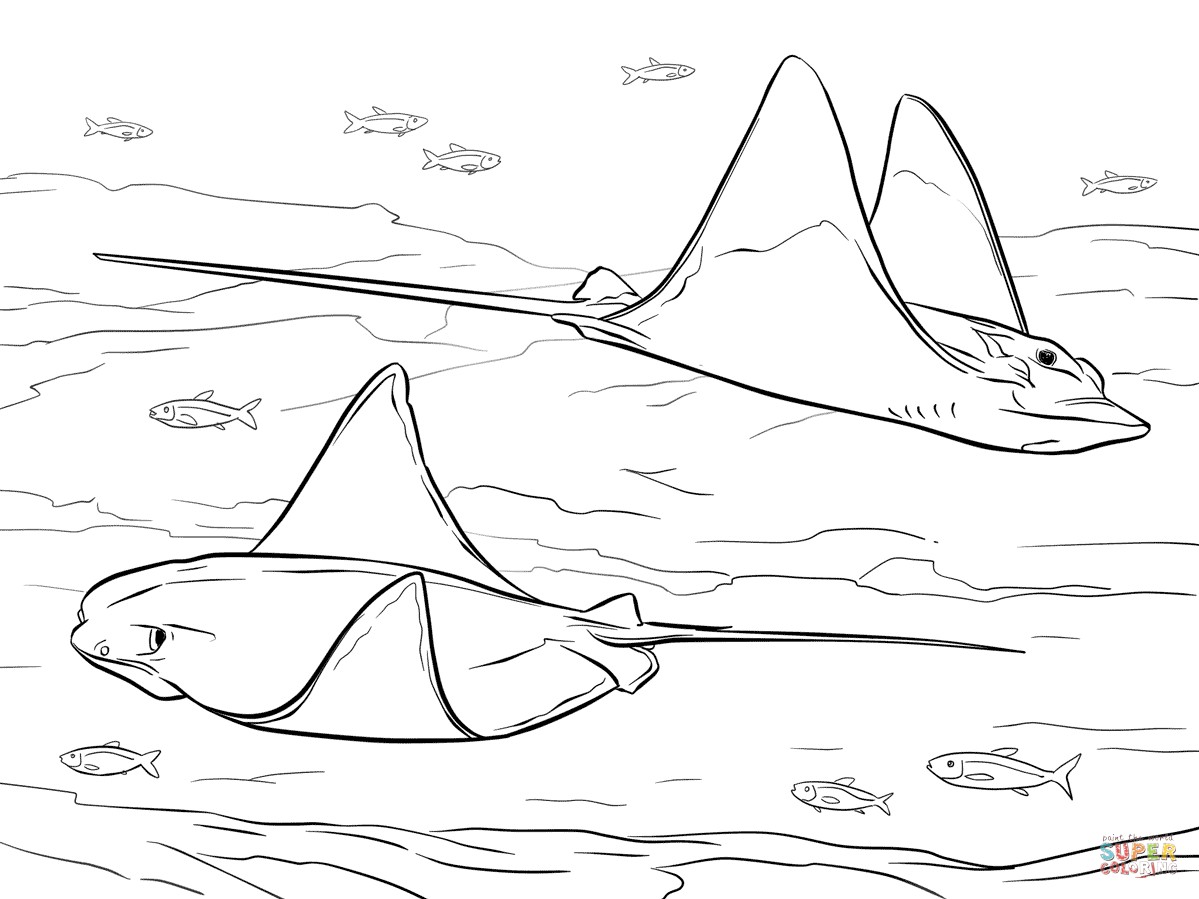 1199x899 X Ray Fish Coloring Page Copy Cownose And Bull Eagle Rays Coloring