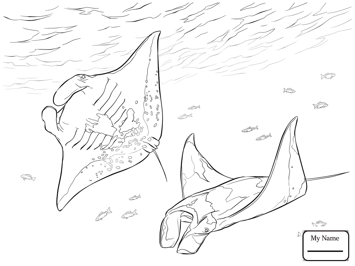 1223x917 Coloring Pages Ray Skate Fish Fish