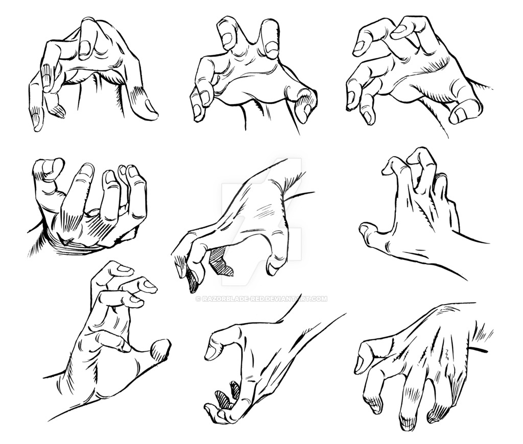 1024x870 Hand Study Ii By Razorblade Red On Anatomy