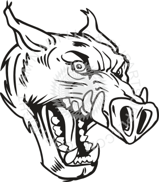 Razorback Drawing at GetDrawings | Free download