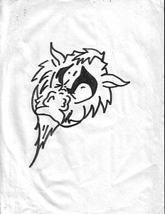 232x300 Razorback Drawings Fine Art America