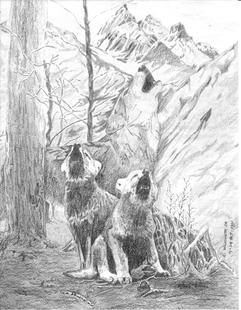 789x1012 Mother Wolf And Pups By Klauswachsmuth