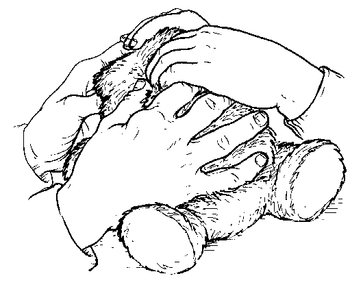 511x419 Talking The Language Of The Hands To The Hands