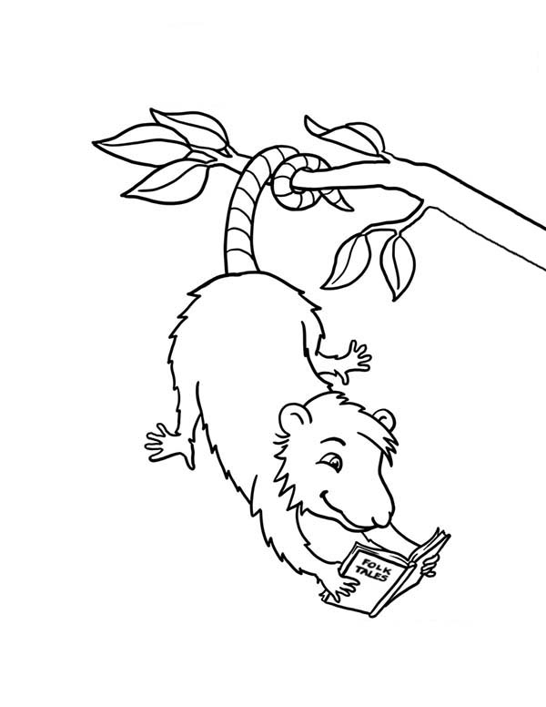600x776 Possum Reading A Book Coloring Page Color Luna