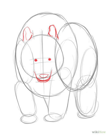 440x550 Drawing Animals Step By Step Realistic