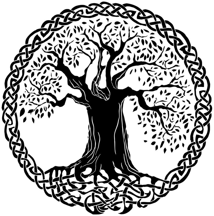 891x897 Celtic Tree Of Life Drawing This Is For Real. This Tattoo Will Be