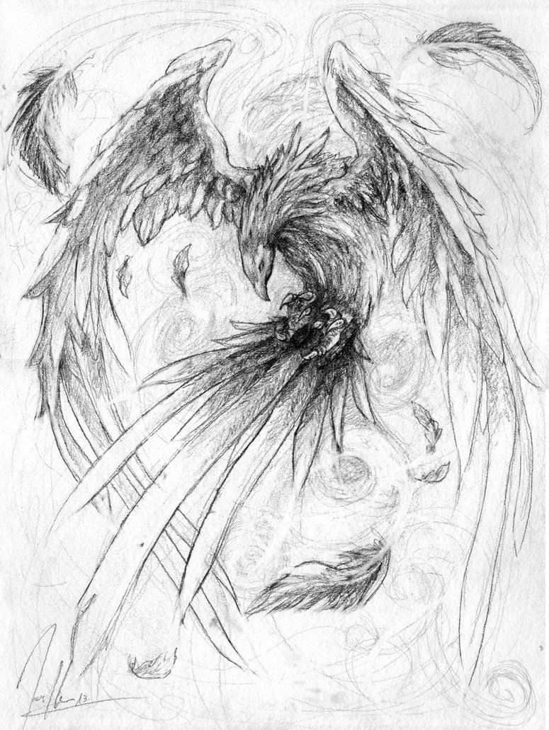 775x1031 Phoenix By ~herrmagermilch On Sketches