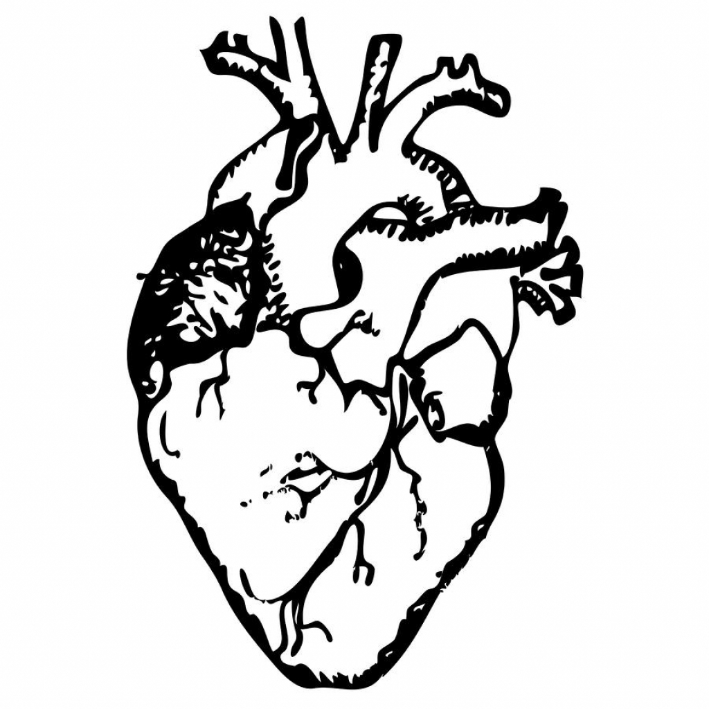 1024x1024 Real Heart Drawing