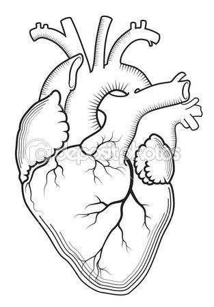 313x449 The Best Human Heart Tattoo Ideas On Human Heart