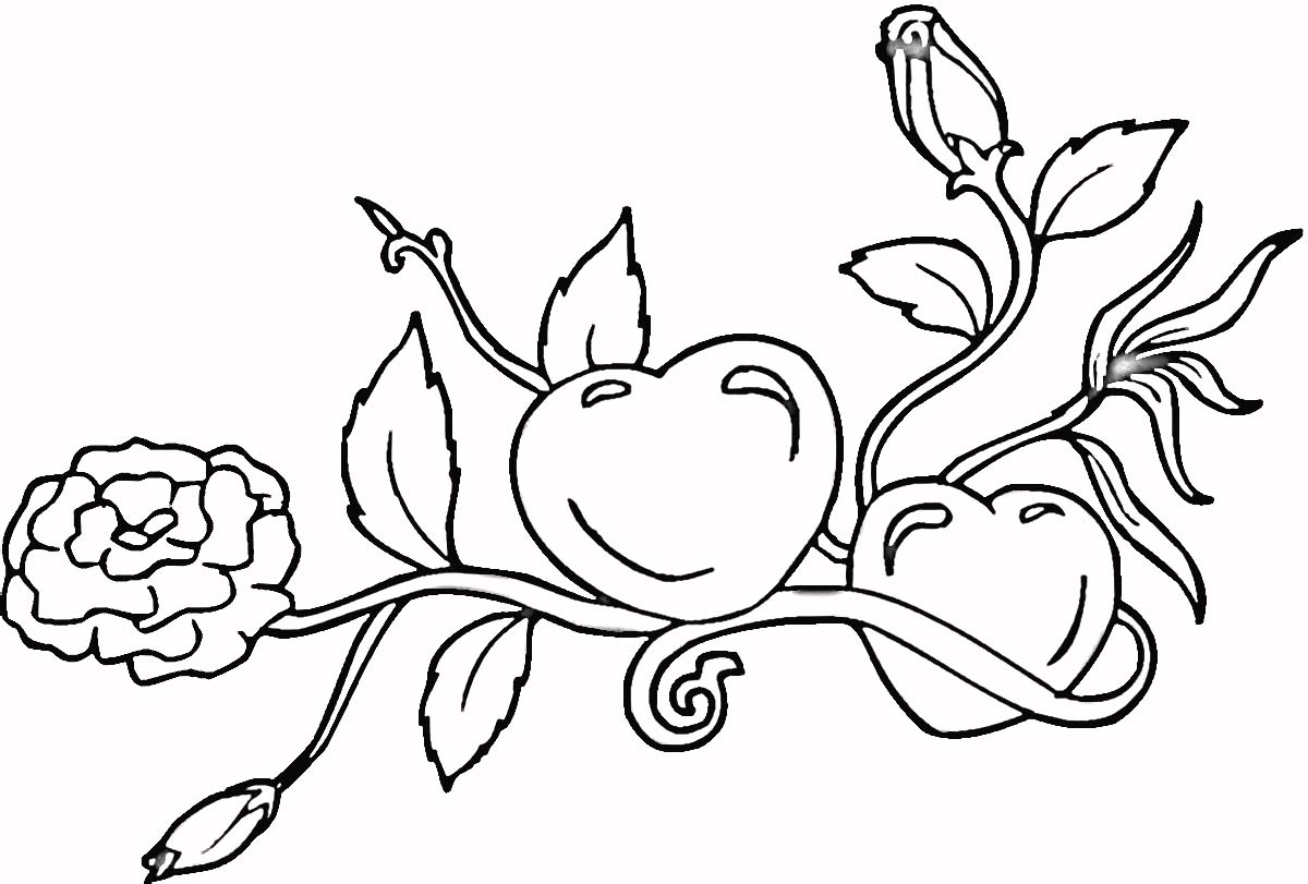 1200x811 The Human Heart Coloring Book Page