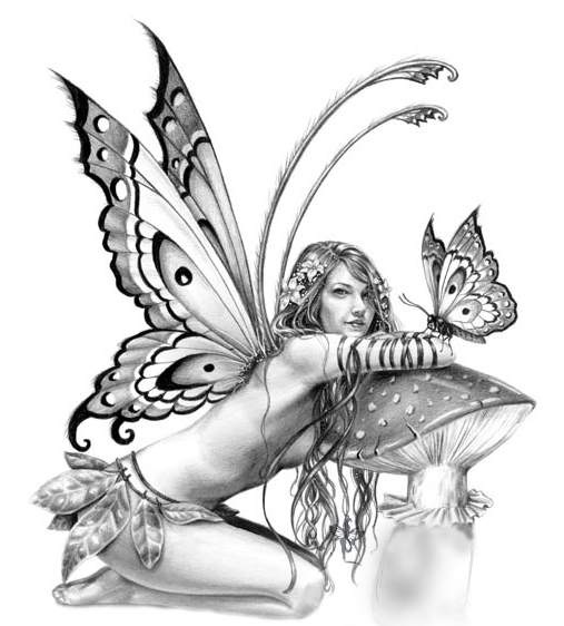 507x562 Realistic Fairy Tattoos Fairy, Tattoo And Drawings