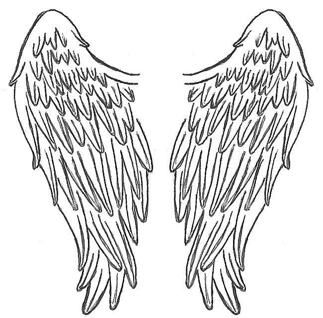 Realistic Angel Wings Drawing at GetDrawings | Free download