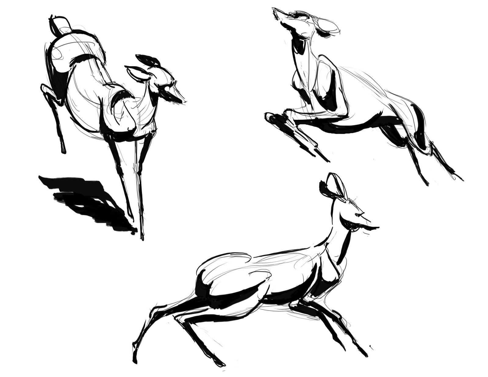 1600x1236 Deer Running Drawing Realistic