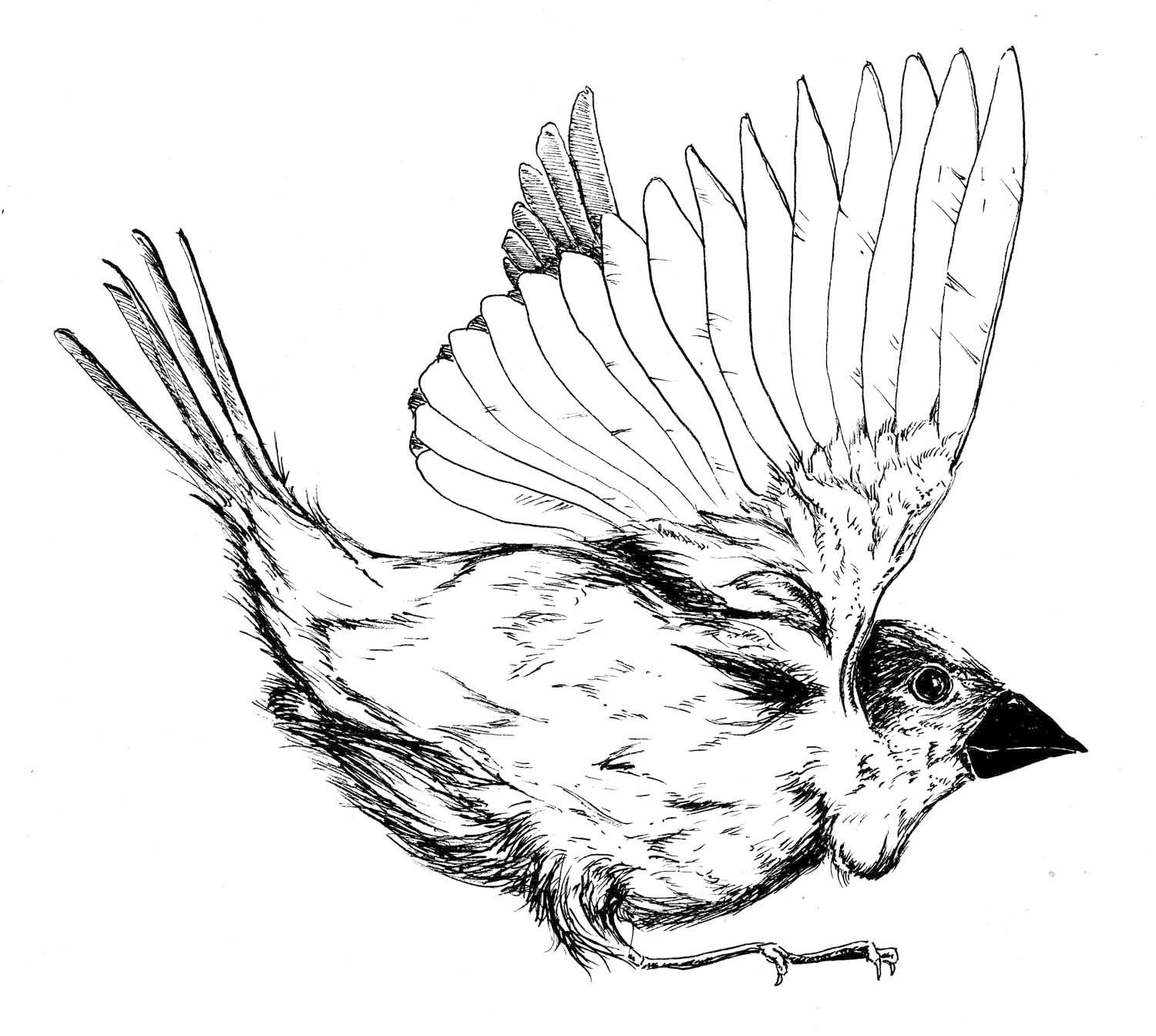 1500x1344 Chrisse Kunst