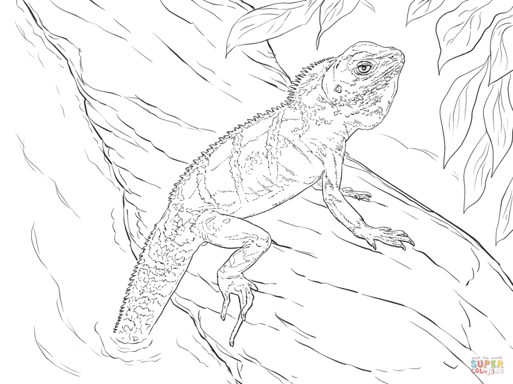 1024x768 Realistic Chinese Water Dragon Download Coloring Pages