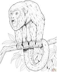 200x252 Coloring Pages For Adults Realistic Animals