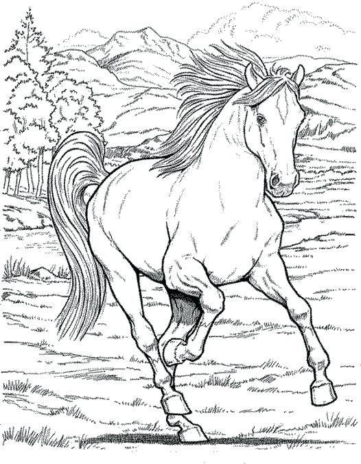 526x676 Coloring Pages Animals Realistic Realistic Animal Coloring Pages