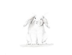 236x182 Image Result For How To Draw Realistic Baby Animals Coloring
