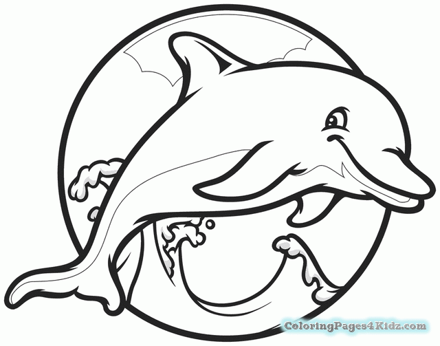 640x503 Realistic Baby Dolphin Coloring Pages Coloring Pages For Kids