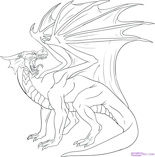 520x527 Realistic Dragon Coloring Pages As Realistic Fire Breathing Dragon