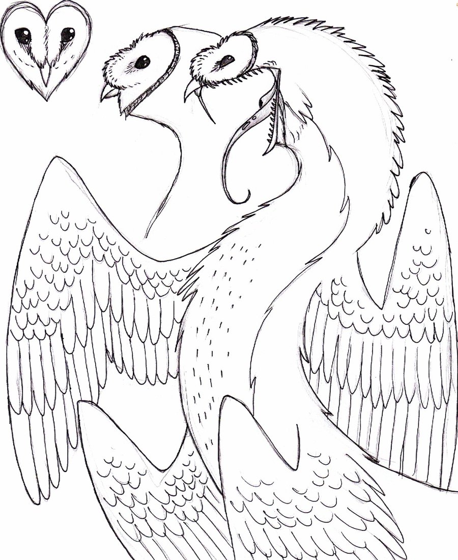 900x1100 Barn Owl Dragon 1 By X Ebee X