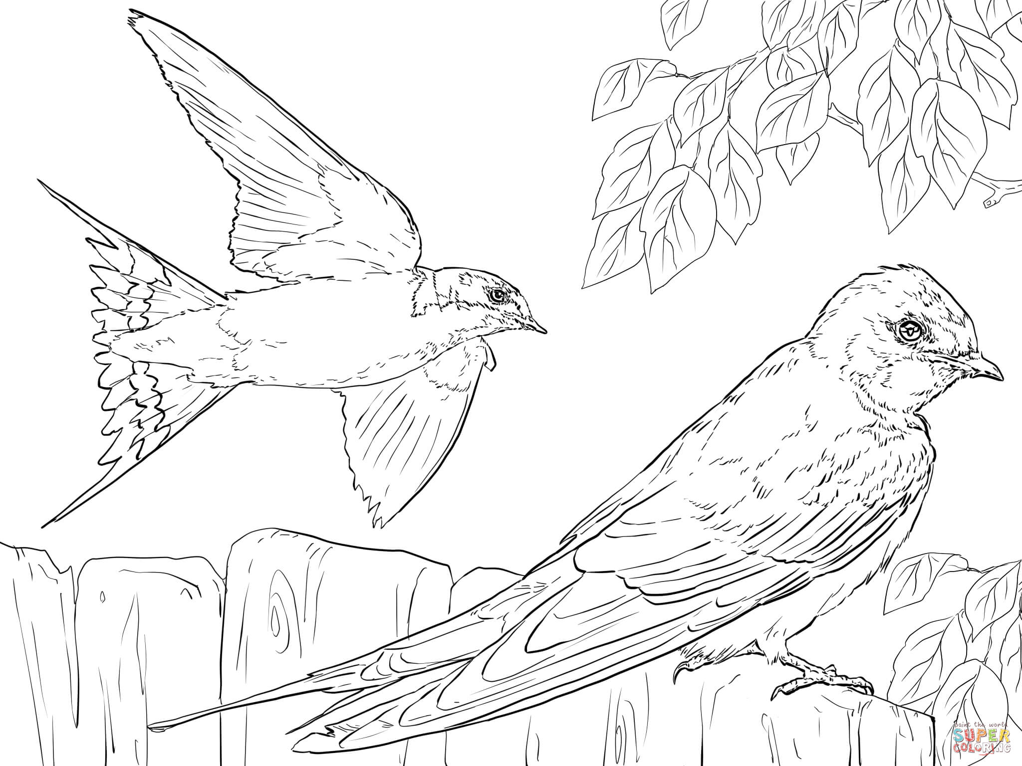 2048x1536 Realistic Barn Swallows Coloring Page Free Printable Coloring Pages