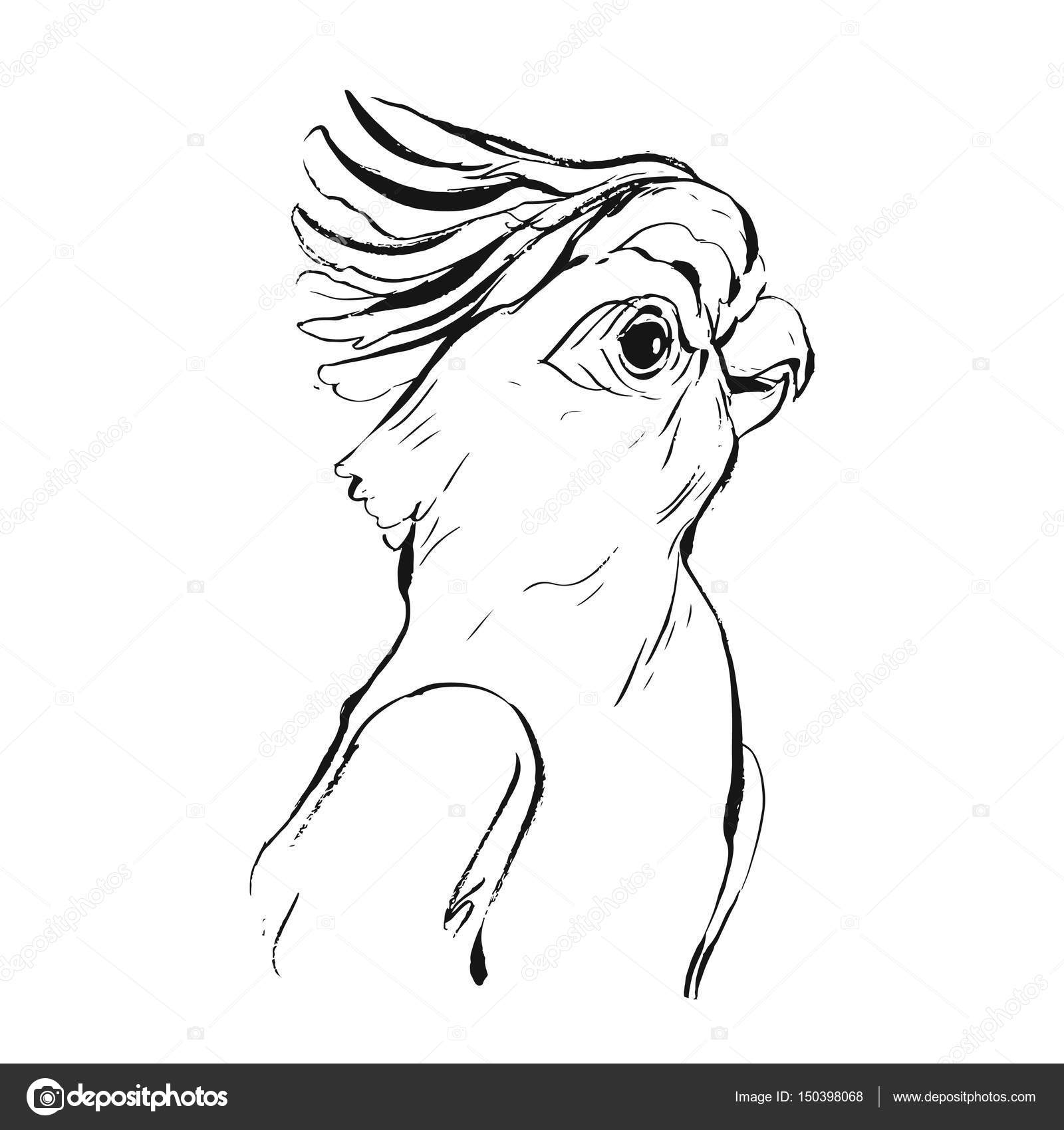 1600x1700 Hand Drawn Vector Brush Drawing Graphic Ink Realistic Tropical