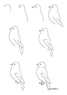 236x333 Image Result How To Draw Realistic Animals Step By Step