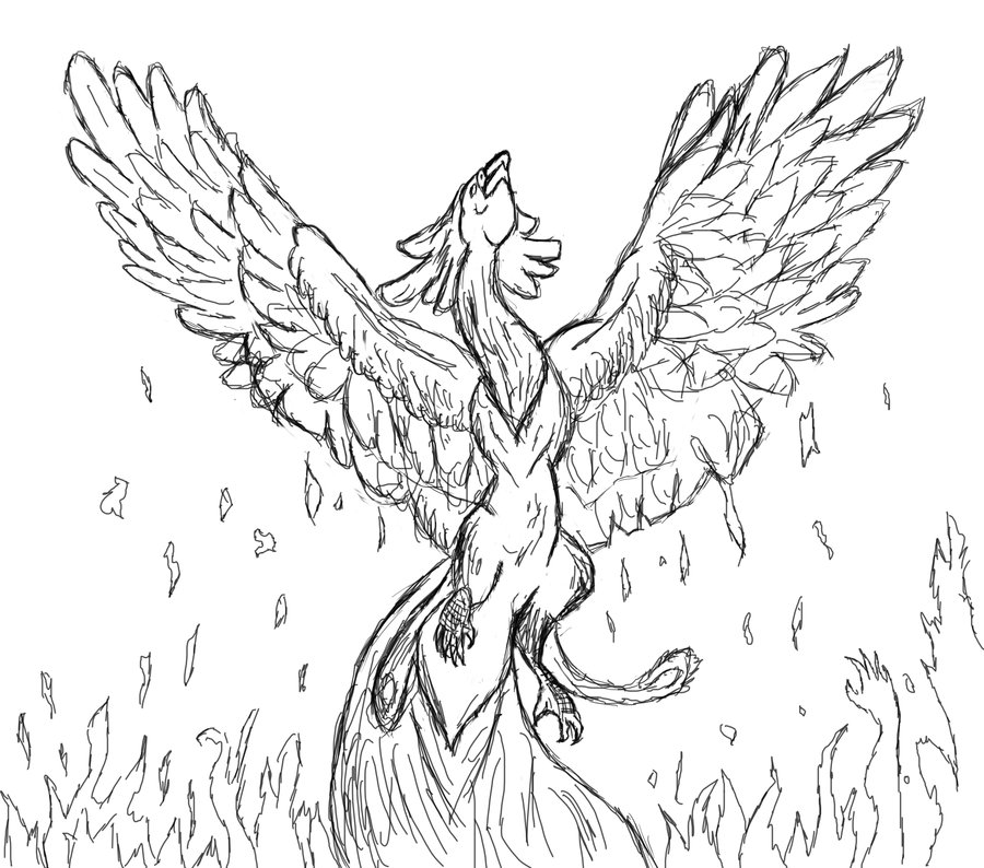 900x794 Unfinished Drawing Of The Phoenix Bird By Milliemonster