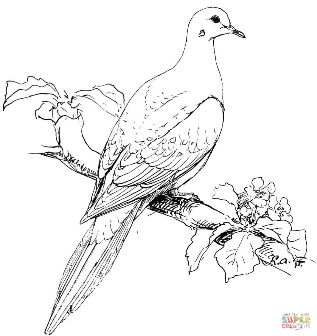 1064x1127 Bird Coloring Pages Printable Realistic Goose For Kids Animal