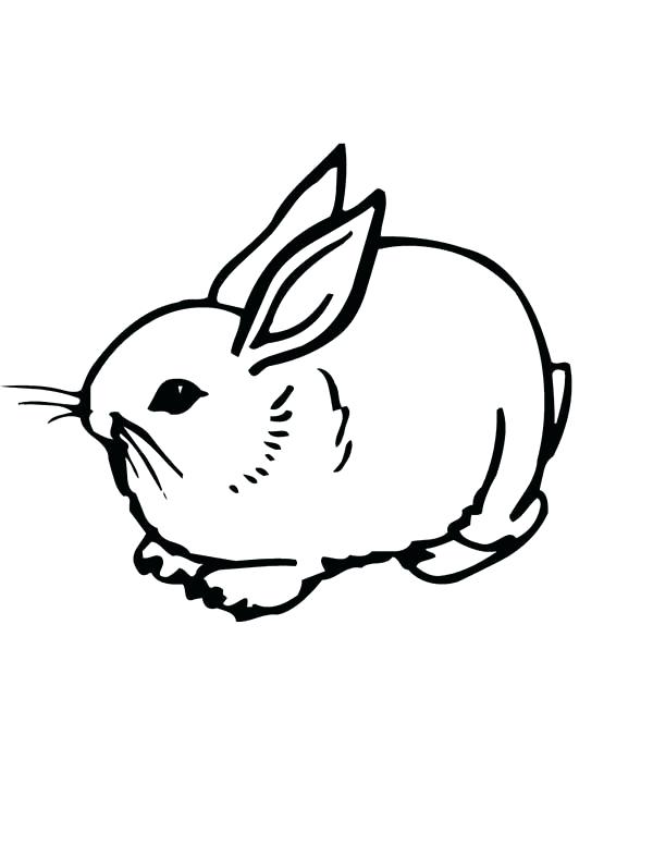600x776 Coloring Page Bunny Bunnies Realistic Image Of A Sweet Little
