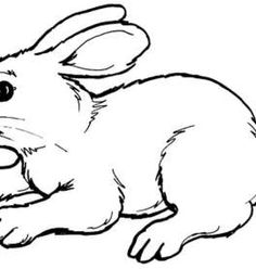 236x248 How To Draw A Realistic Horse Standing Step By Step. Drawing